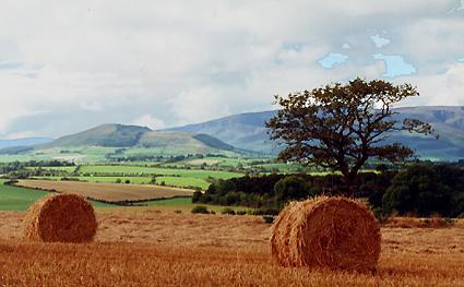 1079.  Cruachn and Comeraghs from Sallaheen
